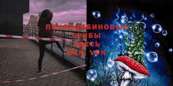 эйфоретик Аркадак